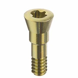 BL NC kilitleme vidasi. GH 0.5 mm 