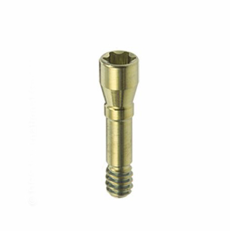 BL NC taban vidasi. L 7.9 mm 